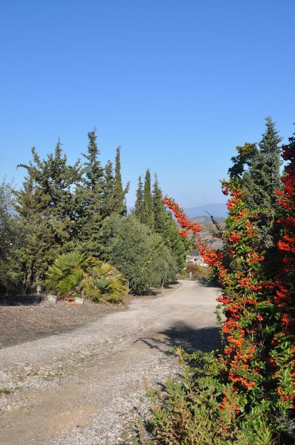 Casa D' Artista B&B Ozieri Εξωτερικό φωτογραφία