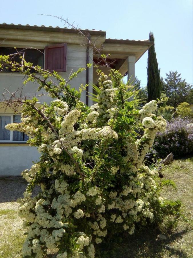 Casa D' Artista B&B Ozieri Εξωτερικό φωτογραφία