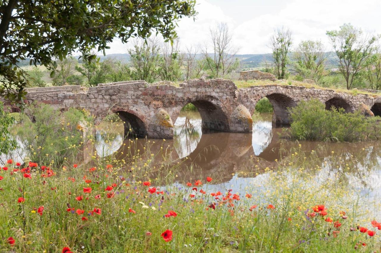 Casa D' Artista B&B Ozieri Εξωτερικό φωτογραφία